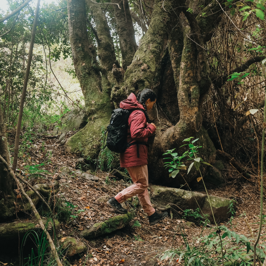 Mochila Annapurna - Black
